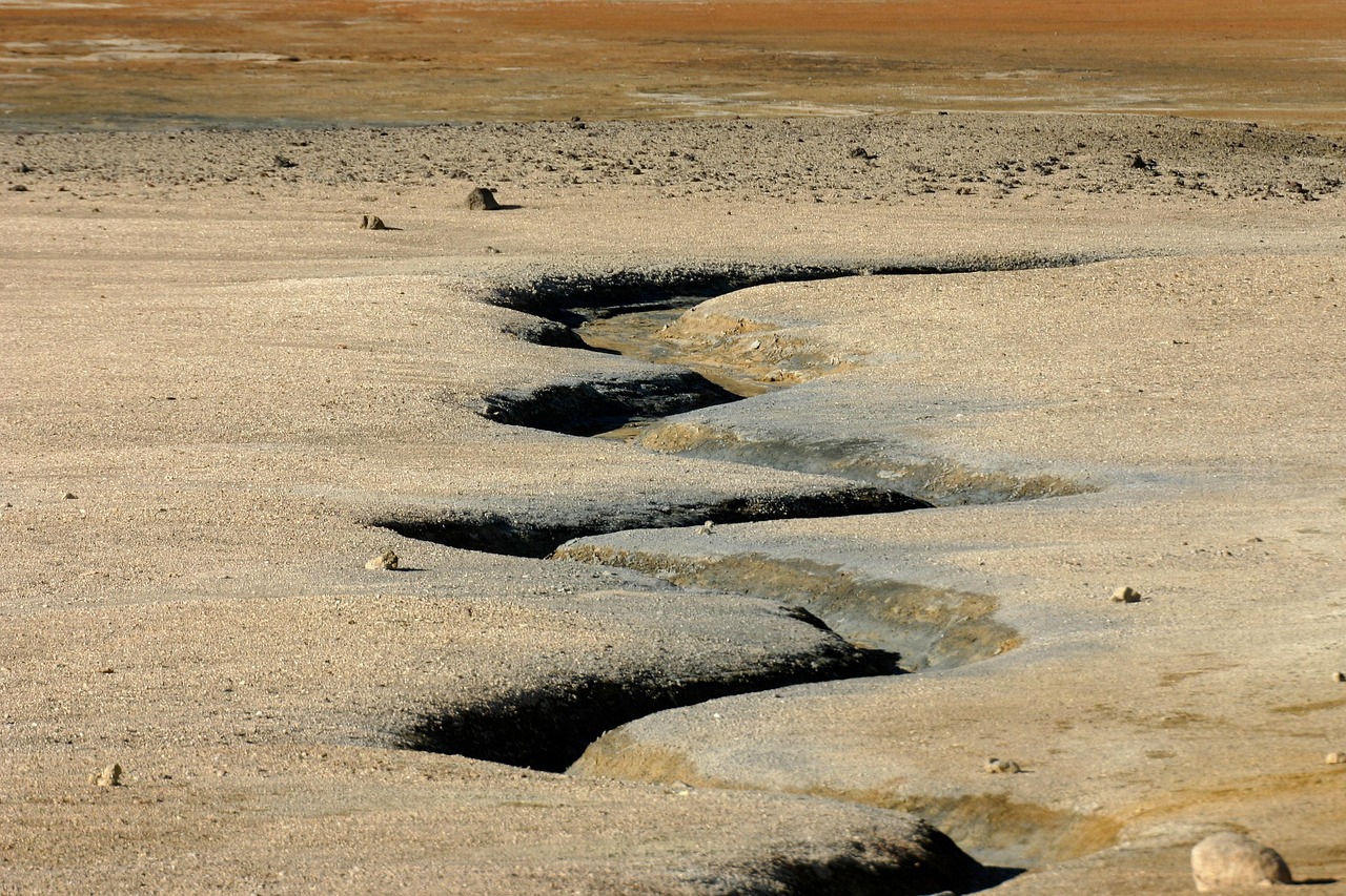 A dry creek bed in a desert.