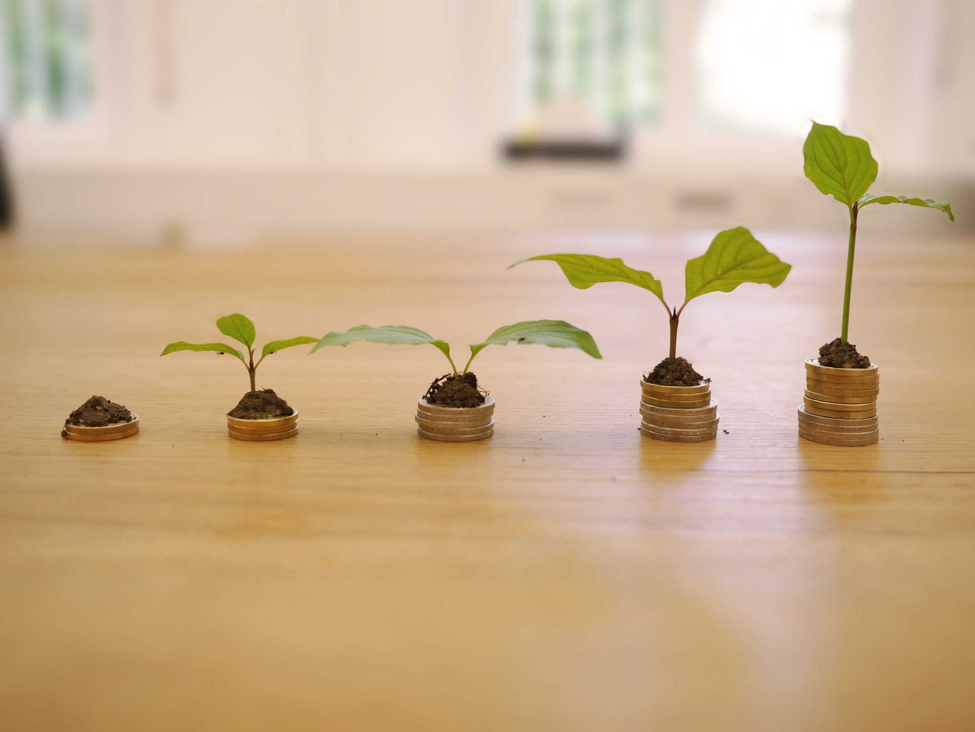 Seedlings on stacked coins showing growth